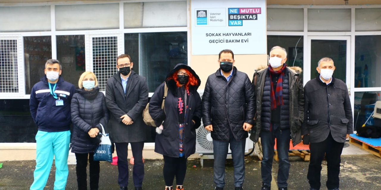 Beşiktaş Sokak Hayvanları Geçici Bakım Evi Ziyaretimiz.